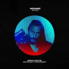 Bob Sinclair ft. Steve Edwards — World hold on (remix)