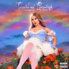 Slayyyter — Self Destruct