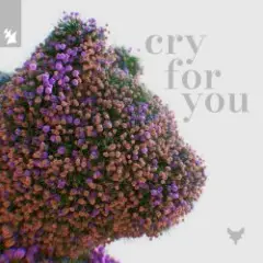 Cry for You