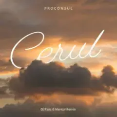 Cerul (Dj Razz & Mentol Remix)