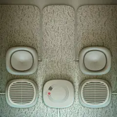 808 State — Westland
