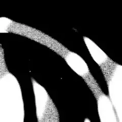 Cardopusher — Flesh Impact
