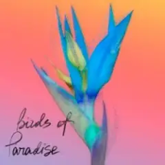 Birds Of Paradise