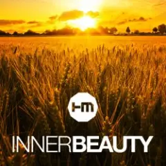 Hybrid Minds — Inner Beauty