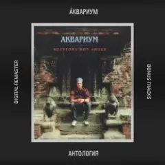 Звездочка