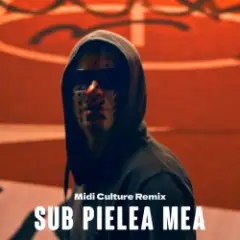 Обложка трека Sub pielea mea (Midi Culture Remix)