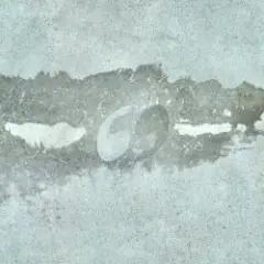 Сухоцвет