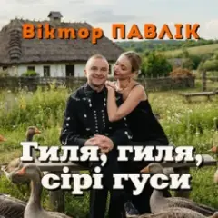 Гиля, гиля, сірі гуси