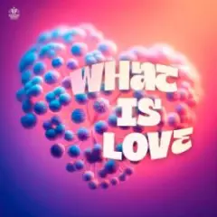 SYNFLO & Niki Four — What Is Love
