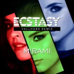Ecstasy (Vallhard Remix Edit) (Ukrainian Version)