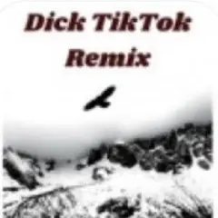 Тык дык тыг дык шабаман Байден Байден Байден (tik tok)