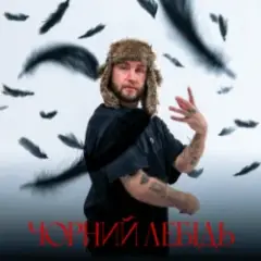 Чорний лебідь
