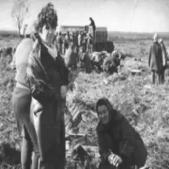 Голова колгоспу