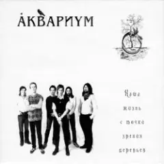 Аквариум — Капитан Воронин