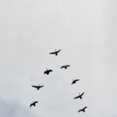 GOD