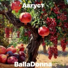 Август