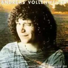 Andreas Vollenweider — Skin and Skin