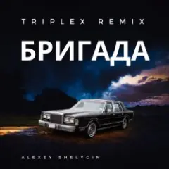 Бригада ( из сериала Бригада)