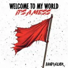 Band of Silver — Welcome to My World It’s a Mess