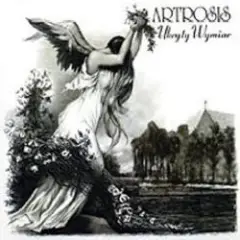 Artrosis — Lisa