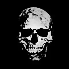 PSL (Slowed)