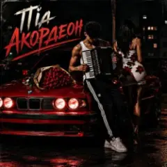 ZVUCAR & Kamelii Merlina — Під Акордеон
