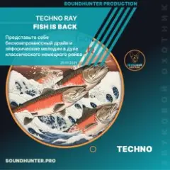 Fish Is Back