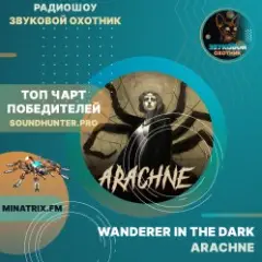 Wanderer In The Dark — Arachne