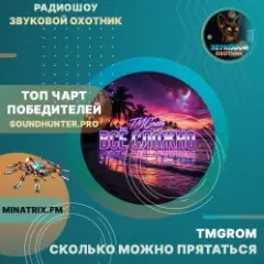 TMGrom — Сколько можно прятаться (soundhunter.pro)