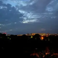 Танули