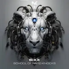 Bixx — Do The Right Thing