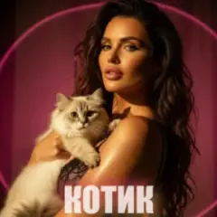 КОТИК