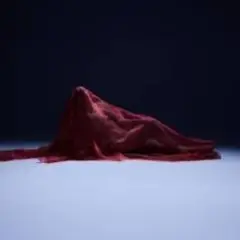 Body Talk