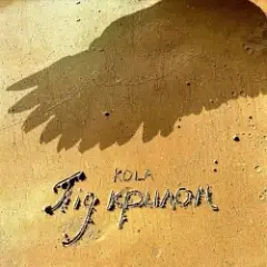 Kola — Під крилом