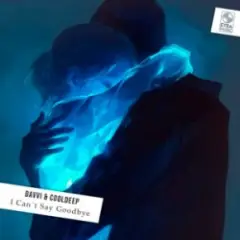 I Can't Say Goodbye (Original Mix)