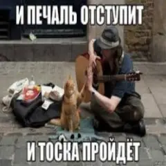 Ноль — Человек И Кошка
