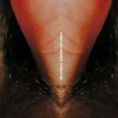 Venetian Snares — Duffy