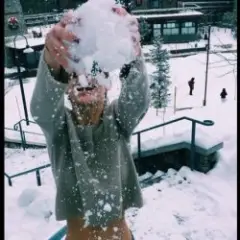 Новогодний