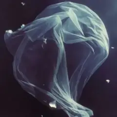МʼЯТА & ХАС — Біла вуаль
