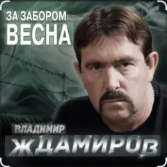 Владимир Ждамиров — За забором весна