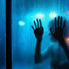 Lirvina — Твой силуэт