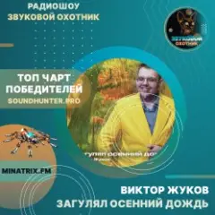 Загулял осенний дождь