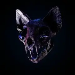 Darci — Wild Horse