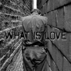 der Flaum — What is love
