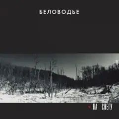 Куполами
