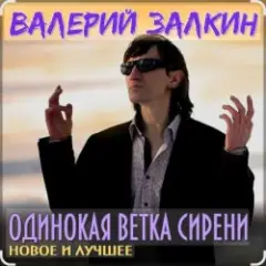 Одинокая ветка сирени