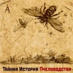 Аквариум — Никон