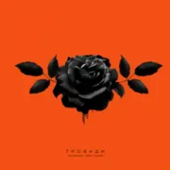 kavabanga Depo kolibri — Троянди