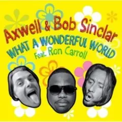 Обложка трека What a wonderful world (radio_edit)