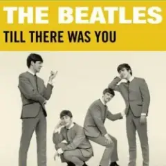 Till There Was You
